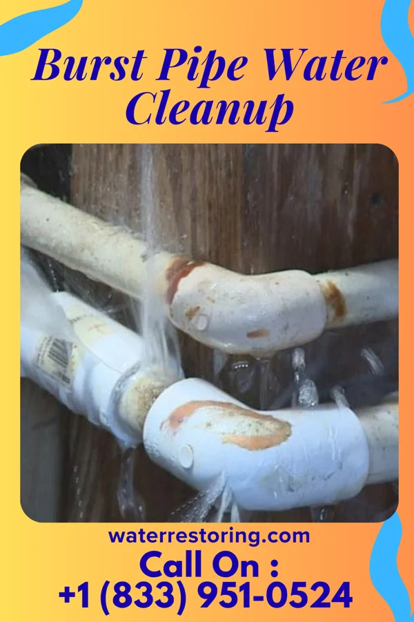 Burst Pipe Water Cleanup in Shellytown, PA