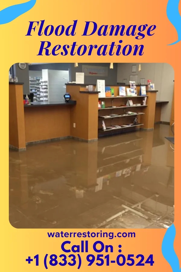 Flood Damage Restoration in Shellytown, PA