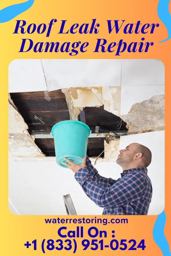 Roof Leak Water Damage Repair in Shellytown, PA