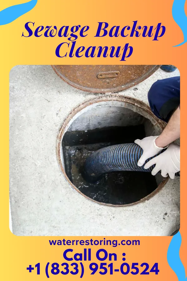 Sewage Backup Cleanup in Shellytown, PA
