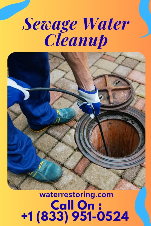 Sewage Water Cleanup in Shellytown, PA